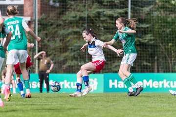 Bild 445 - wBJ Hamburger SV - SV Werder Bremen : Ergebnis : 1:3